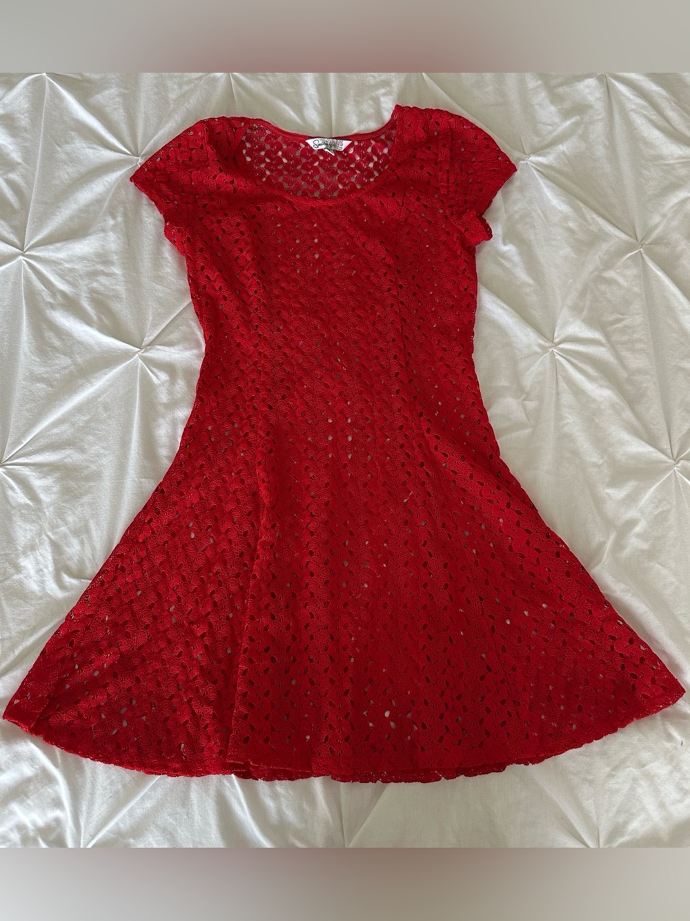 Speechless Red Lace Fit-and-Flare Mini Dress